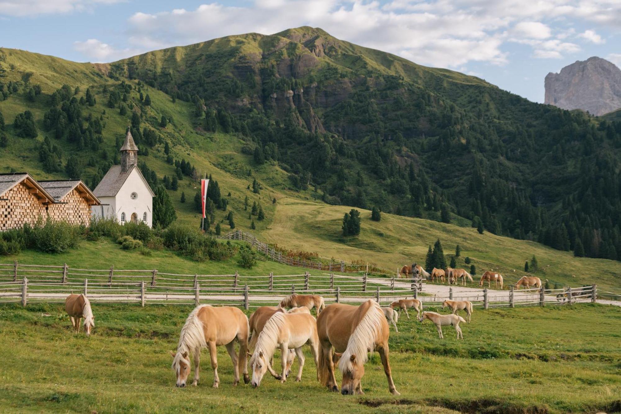 אלפה די סיוסי Zallinger Dolomites מראה חיצוני תמונה